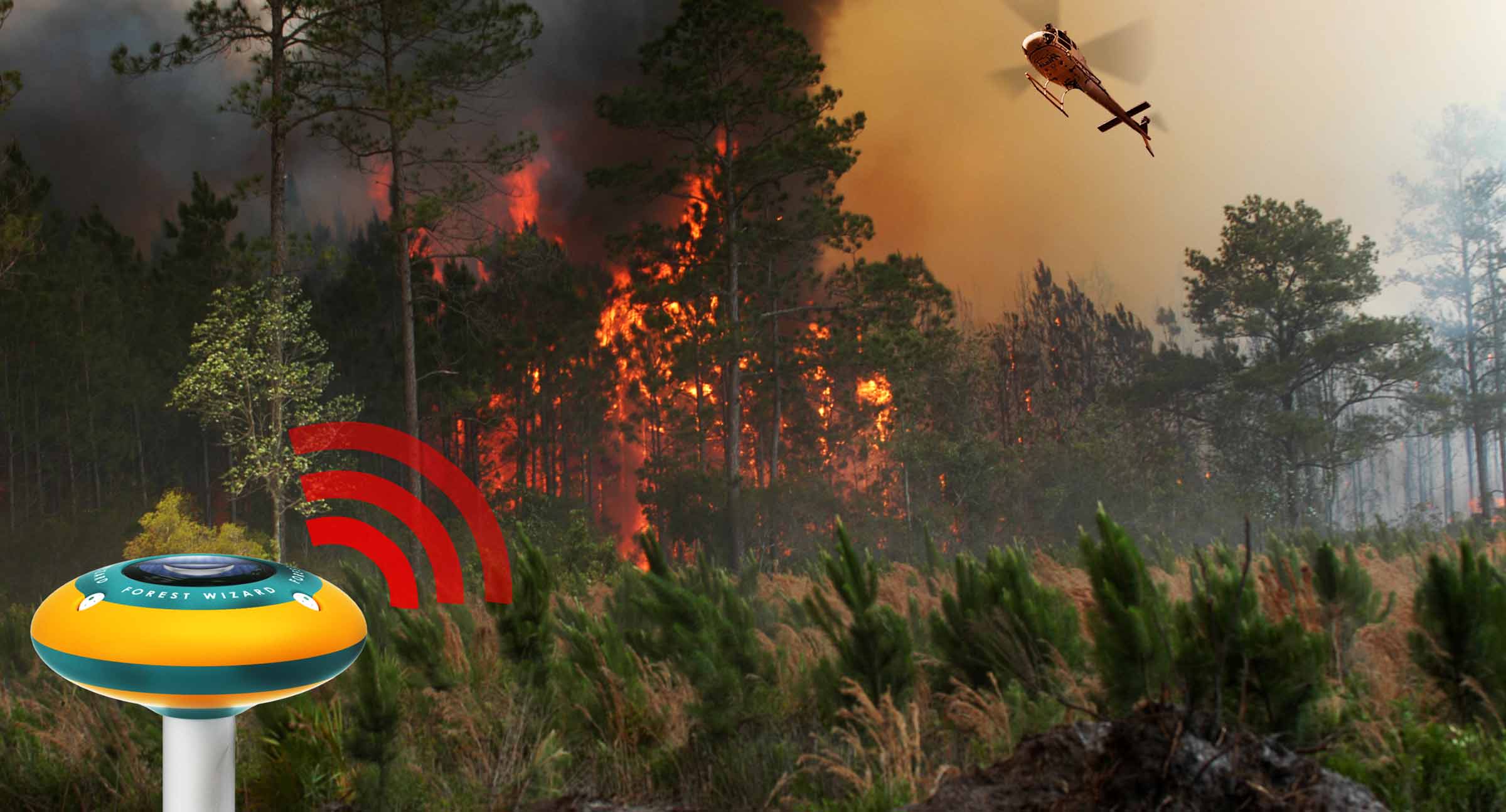Лесохранитель система дистанционного мониторинга лесных пожаров. Система раннего обнаружения лесных пожаров. Система раннего обнаружения лесных пожаров «Лесной дозор». Forest Fire Detection система. Система видеомониторинга лесных пожаров.